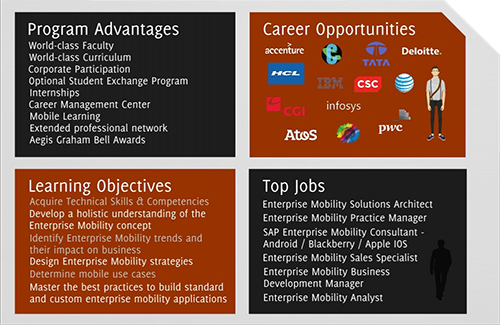 enterprise mobility program advantages